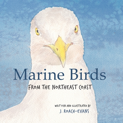 Marine Birds: from the Northeast Coast - Erin Oliveira
