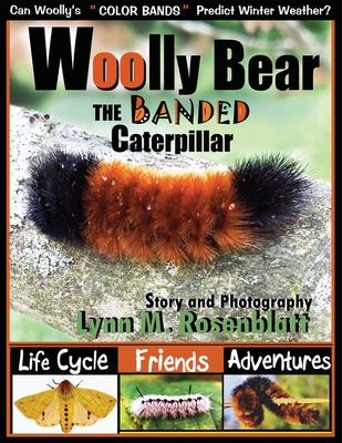 Woolly Bear the Banded Caterpillar: Life Cycle, Friends and Adventures - Lynn M. Rosenblatt