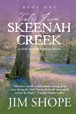 Tales From Skeenah Creek: A Civil War Historical Fiction Novel - Jim Shope