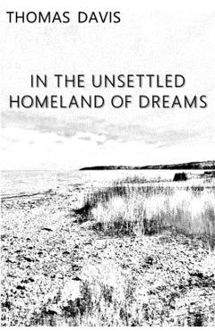Coperta cărții 'In the Unsettled Homeland of Dreams - Thomas Davis'