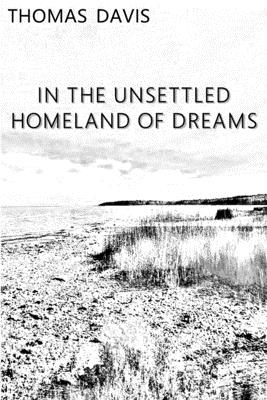 In the Unsettled Homeland of Dreams - Thomas Davis
