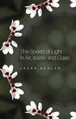 The Speed of Light in Air, Water, and Glass - Laura Scalzo