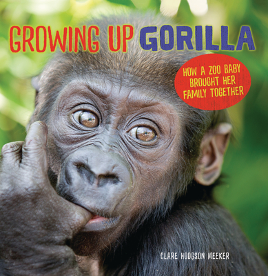 Growing Up Gorilla: How a Zoo Baby Brought Her Family Together - Clare Hodgson Meeker
