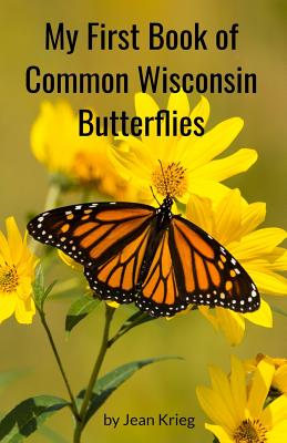 My First Book of Common Wisconsin Butterflies - Jean Krieg