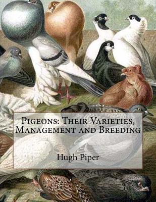 Pigeons: Their Varieties, Management and Breeding - Jackson Chambers