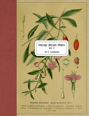 Vintage Botany Prints: Vol. 2 - E. Lawrence