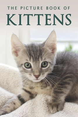 The Picture Book of Kittens: A Gift Book for Alzheimer's Patients or Seniors with Dementia - Sunny Street Books