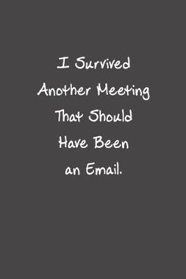 I Survived Another Meeting That Should Have Been An Email: Funny Office Gifts For Coworker - Positive Vibe
