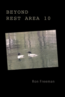Beyond Rest Area 10 - Ron Freeman