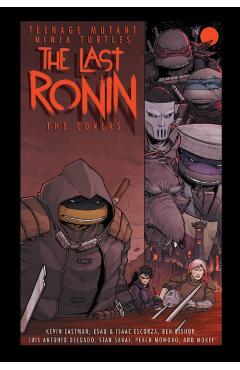 Teenage Mutant Ninja Turtles: The Last Ronin -- The Covers - Kevin Eastman