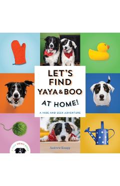Let's Find Yaya and Boo at Home!: A Hide-And-Seek Adventure - Andrew Knapp