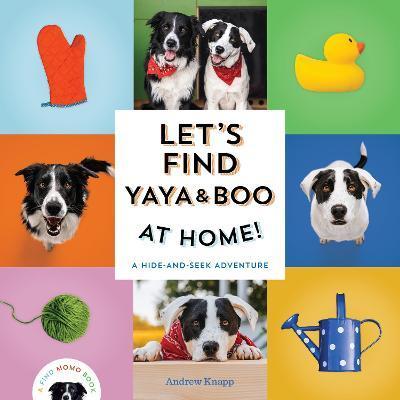 Let's Find Yaya and Boo at Home!: A Hide-And-Seek Adventure - Andrew Knapp