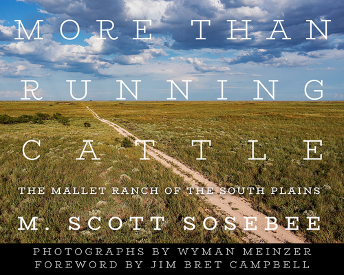More Than Running Cattle: The Mallet Ranch of the South Plains - M. Scott Sosebee