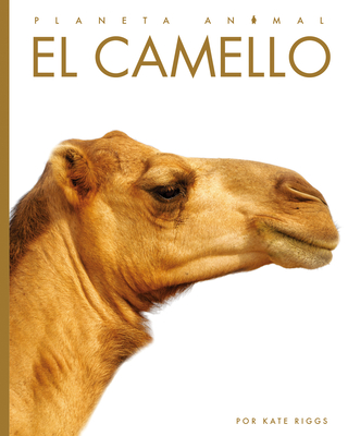 El Camello - Kate Riggs