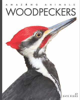 Woodpeckers - Kate Riggs