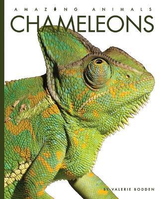 Chameleons - Valerie Bodden