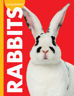 Curious about Rabbits - Jill Sherman