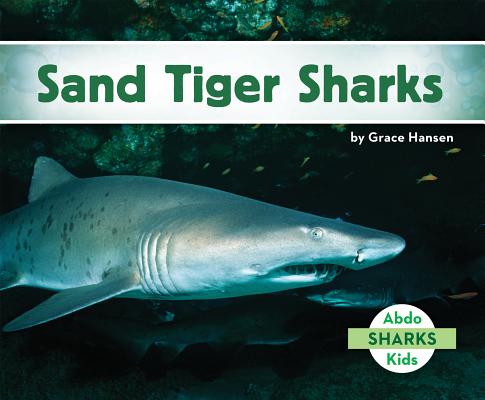 Coperta cărții 'Sand Tiger Sharks - Grace Hansen'