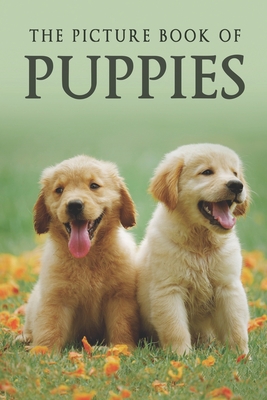 The Picture Book of Puppies: A Gift Book for Alzheimer's Patients and Seniors with Dementia - Sunny Street Books