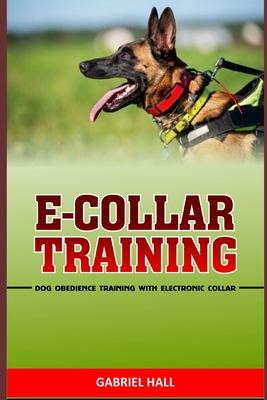 E-Collar Training: Dog Obedience Training With Electronic Collar - Gabriel Hall