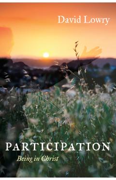 Coperta cărții 'Participation - David Lowry'