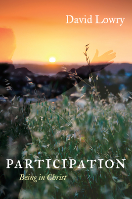 Participation - David Lowry