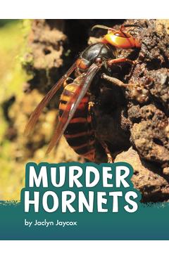 Coperta cărții 'Murder Hornets - Jaclyn Jaycox'
