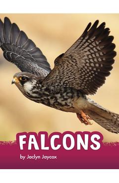 Coperta cărții 'Falcons - Jaclyn Jaycox'