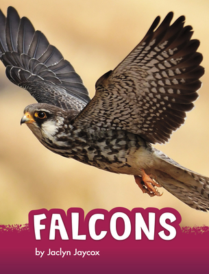Coperta cărții 'Falcons - Jaclyn Jaycox'