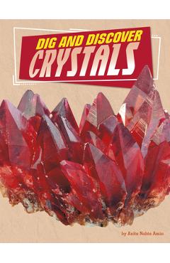 Coperta cărții 'Dig and Discover Crystals - Anita Nahta Amin'