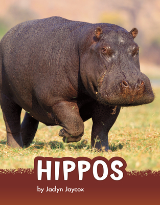 Hippos - Jaclyn Jaycox