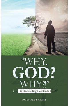 Coperta cărții 'Why, God? Why?!: Understanding Habakkuk - Ron Metheny'
