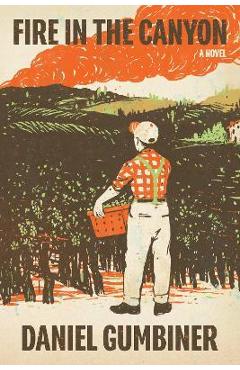 Coperta cărții 'Fire in the Canyon - Daniel Gumbiner'