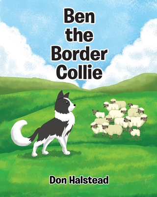 Ben the Border Collie - Don Halstead