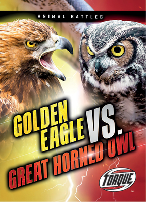 Golden Eagle vs. Great Horned Owl - Nathan Sommer