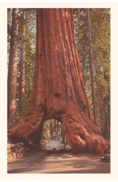 Vintage Journal Redwood and Volkswagen - Found Image Press