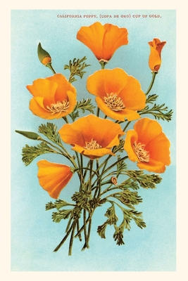 The Vintage Journal California Poppies - Found Image Press