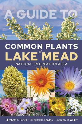 A Guide to Common Plants of Lake Mead National Recreation Area - Elizabeth A. Powell