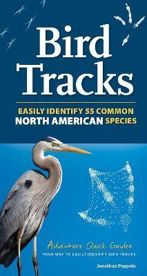 Bird Tracks: Easily Identify 55 Common North American Species - Jonathan Poppele