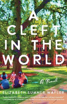 A Cleft in the World - Elizabeth Sumner Wafler