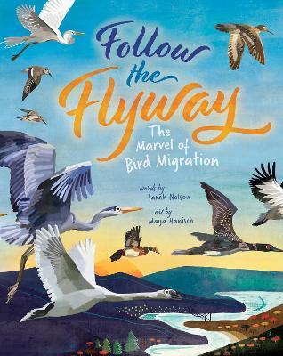 Follow the Flyway: The Marvel of Bird Migration - Sarah Nelson
