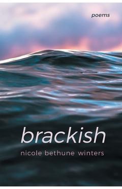 Coperta cărții 'brackish - Nicole Bethune Winters'