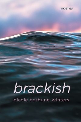 Coperta cărții 'brackish - Nicole Bethune Winters'