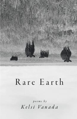 Rare Earth - Kelsi Vanada