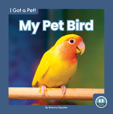 My Pet Bird - Brienna Rossiter