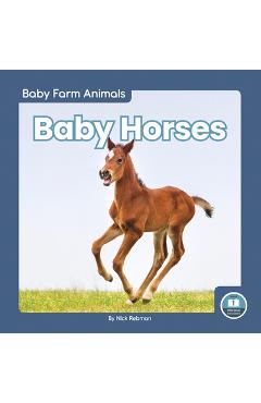 Coperta cărții 'Baby Horses - Nick Rebman'