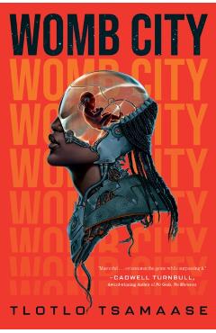 Womb City - Tlotlo Tsamaase