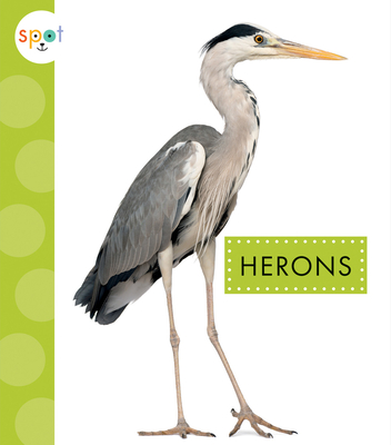 Herons - Lisa Amstutz