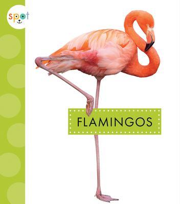Flamingos - Lisa Amstutz