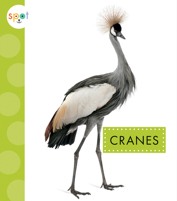 Cranes - Lisa Amstutz